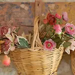 Casale *